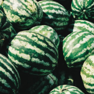 WATERMELON SEED OIL